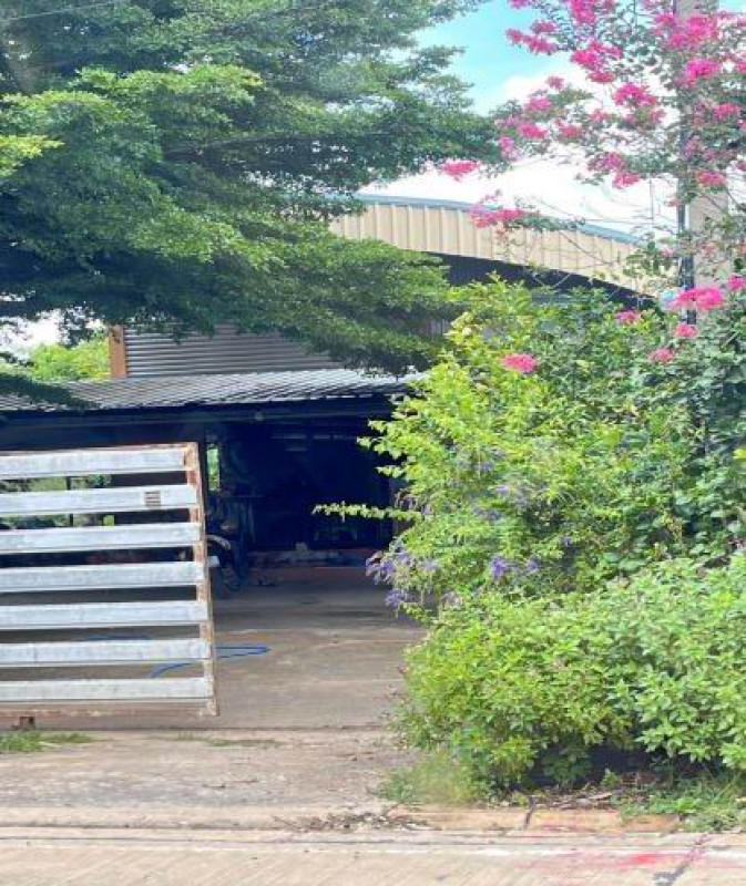 Single house Sing Buri In Buri Tha Ngam 455260