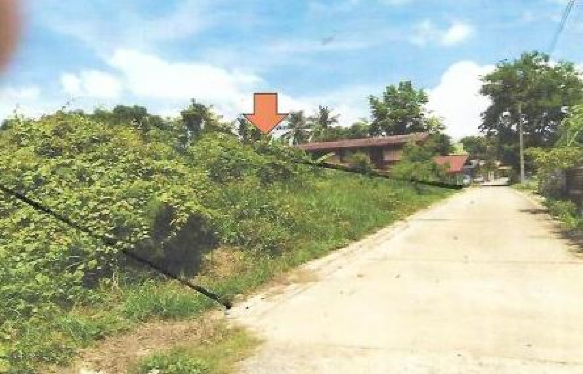 Residential land/lot Phitsanulok Mueang Phitsanulok Samo Khae 97500