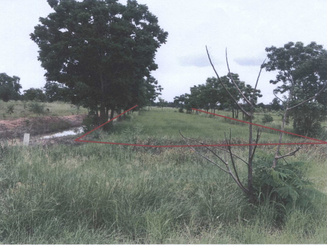ที่ดินเปล่า พิจิตร ตะพานหิน หนองพยอม 200450