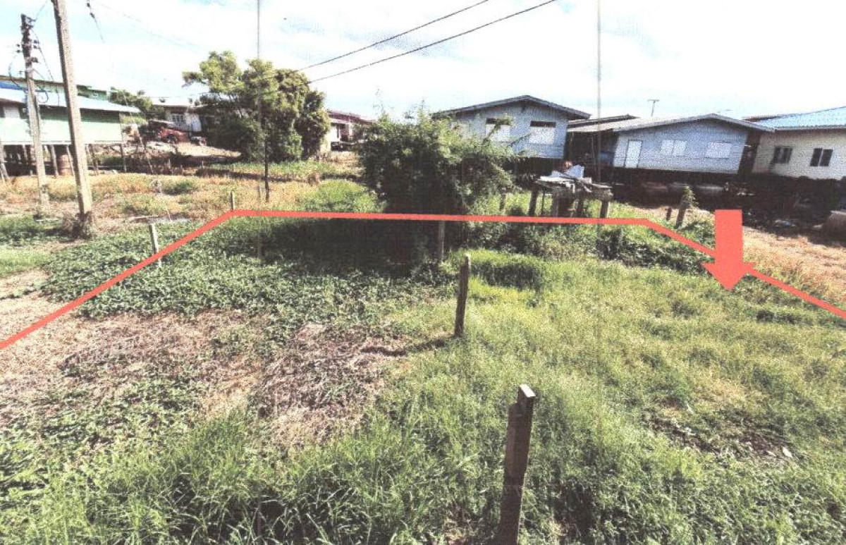 ที่ดินเปล่า สุพรรณบุรี บางปลาม้า ไผ่กองดิน 20250