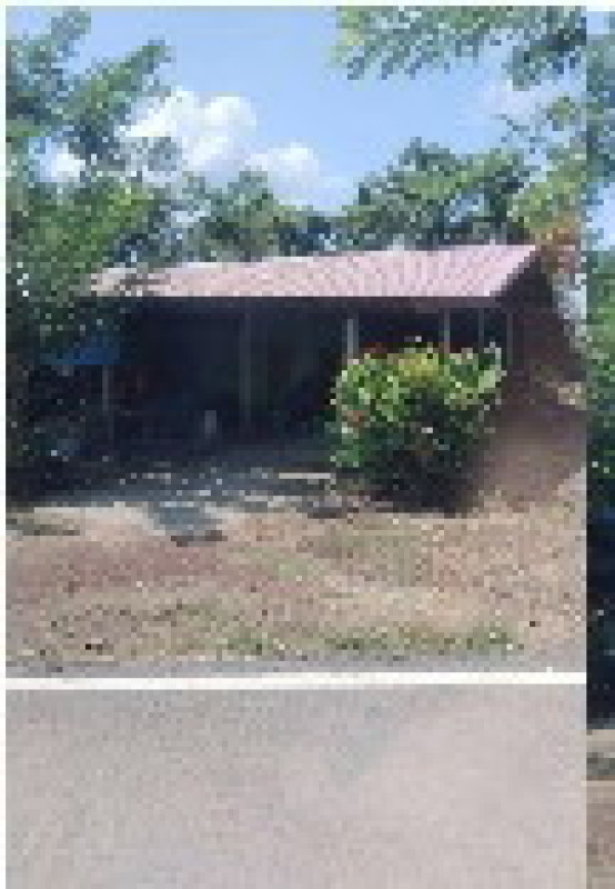 Single house Phichit Pho Prathap Chang Pho Prathap Chang 446115