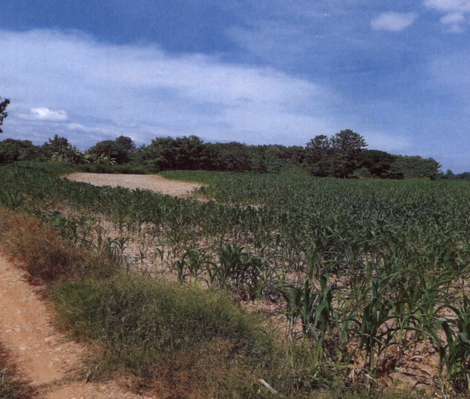 ที่ดินเปล่า แพร่ หนองม่วงไข่ ทุ่งแค้ว 467360