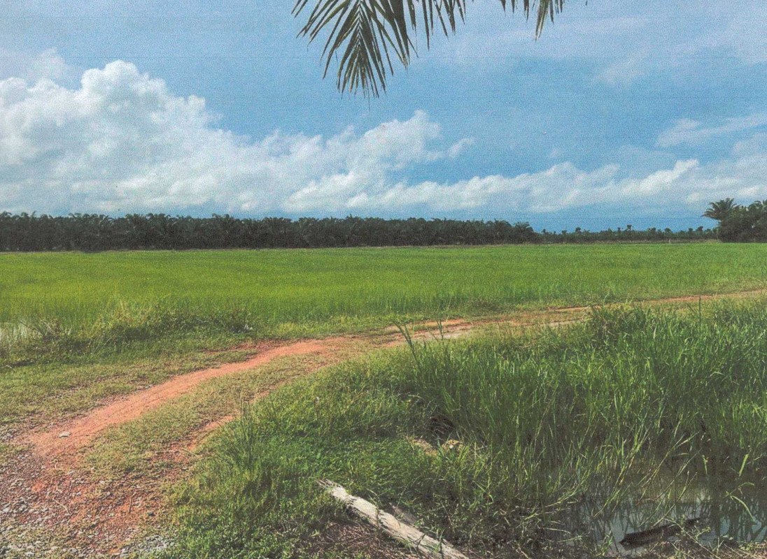 Residential land/lot Nakhon Si Thammarat Ron Phibun Khuan Chum 719400