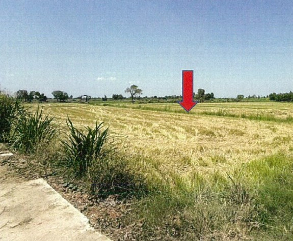 Residential land/lot Phichit Pho Thale Thai Nam 655590
