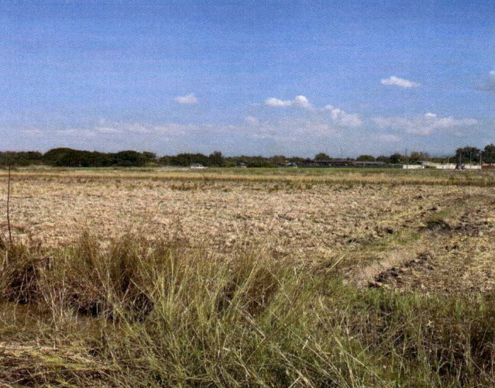 ที่ดินเปล่า แพร่ สูงเม่น บ้านปง 167200