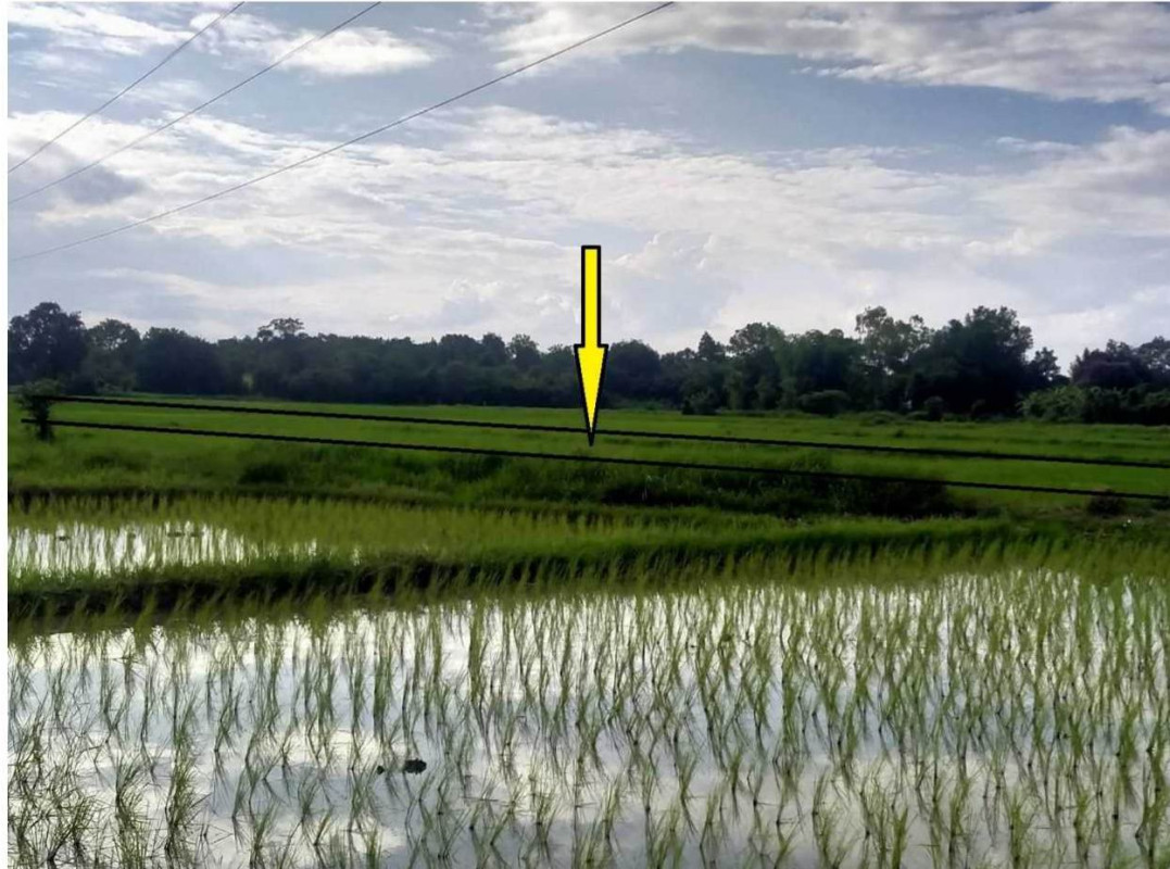 ที่ดินเปล่า หนองบัวลำภู เมืองหนองบัวลำภู ลำภู 240000