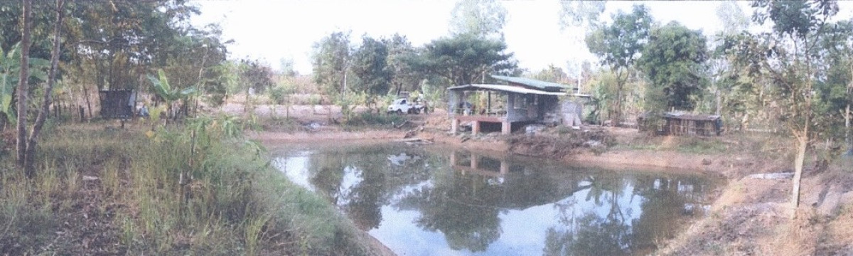 บ้านเดี่ยว สกลนคร บ้านม่วง โนนสะอาด 618940