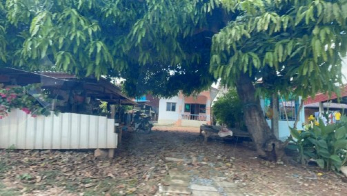 บ้านเดี่ยว พิษณุโลก เมืองพิษณุโลก บ้านกร่าง 231570