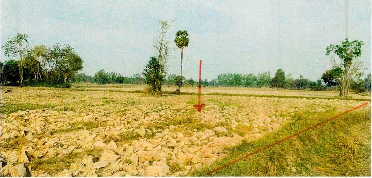 ที่ดินเปล่า ศรีสะเกษ ขุขันธ์ กฤษณา 499800