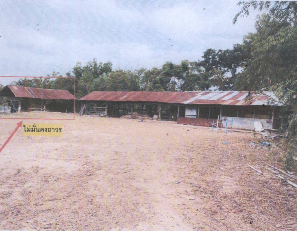 บ้านเดี่ยว ยโสธร ป่าติ้ว กระจาย 847360