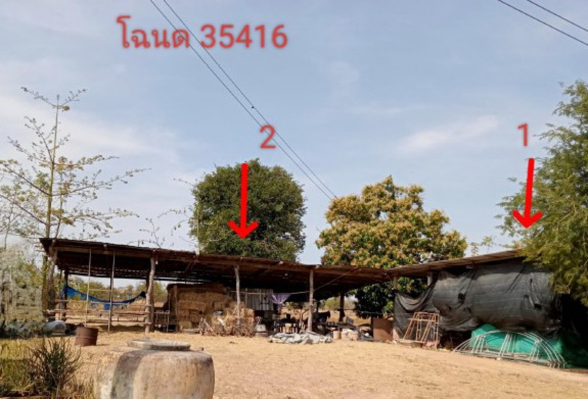บ้านเดี่ยว ยโสธร เลิงนกทา สวาท 635050
