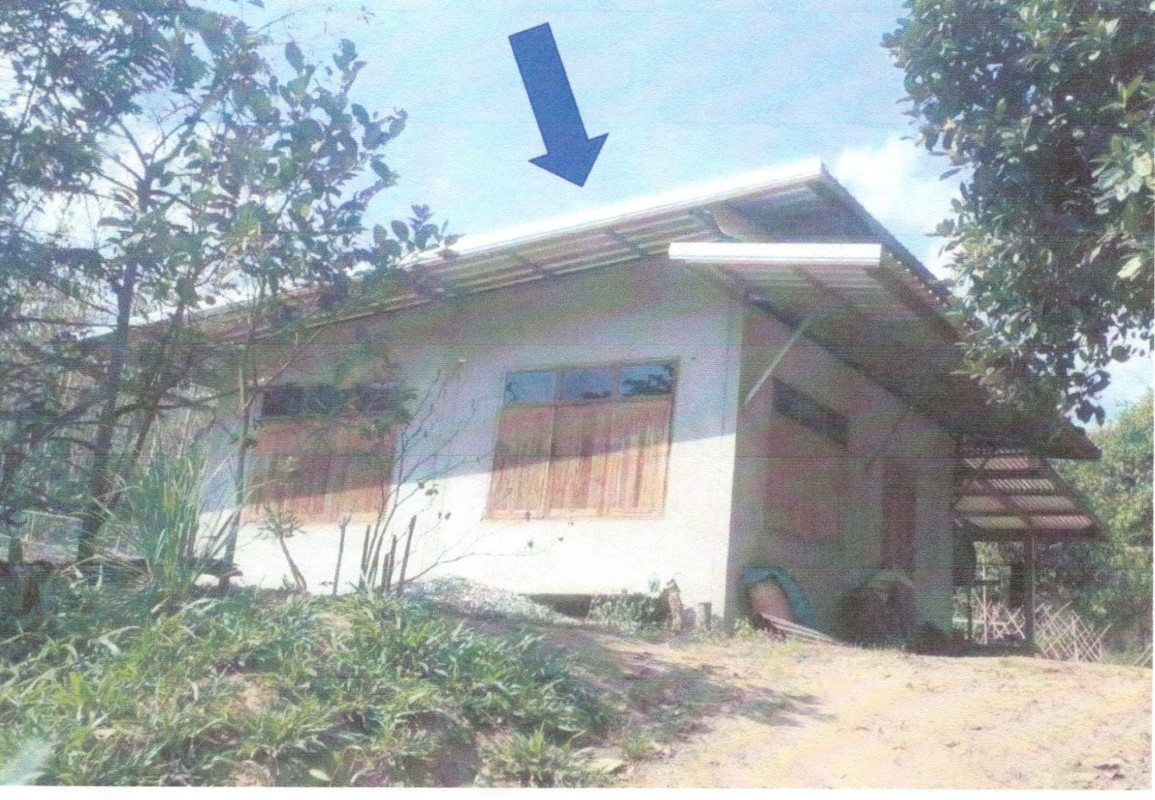 บ้านเดี่ยว เลย ด่านซ้าย นาหอ 225375