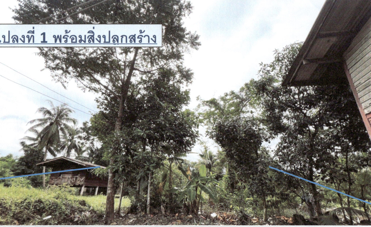 Single house Phatthalung Mueang Phatthalung Prang Mu 238740