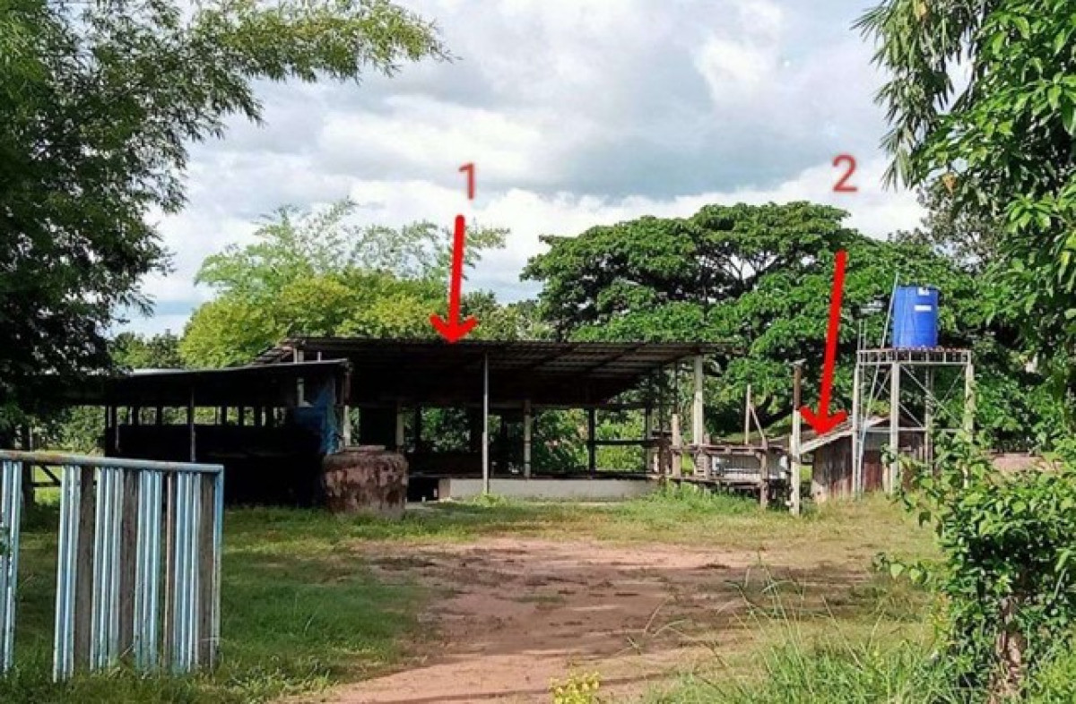 บ้านเดี่ยว มหาสารคาม พยัคฆภูมิพิสัย นาสีนวล 911950