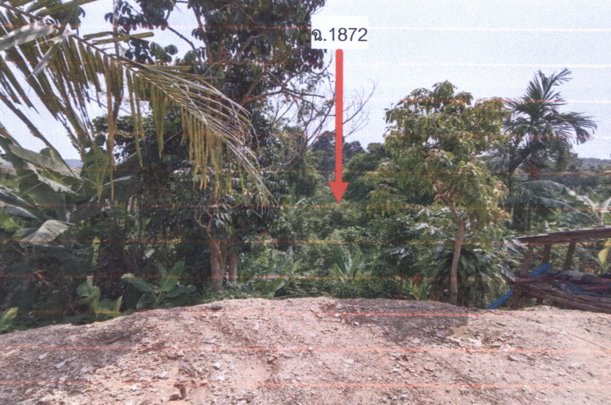 Residential land/lot Yala Bannang Sata Bannang Sata 171600
