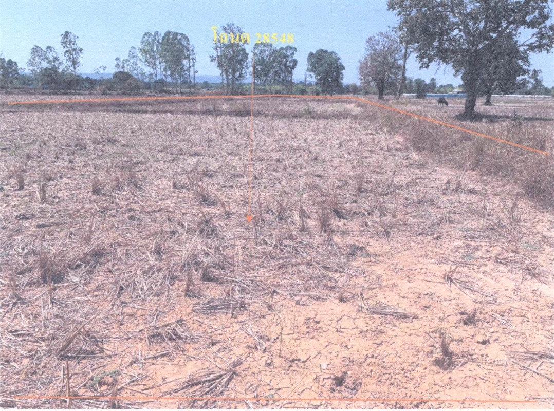 Residential land/lot Nakhon Phanom Na Kae Phiman 134550