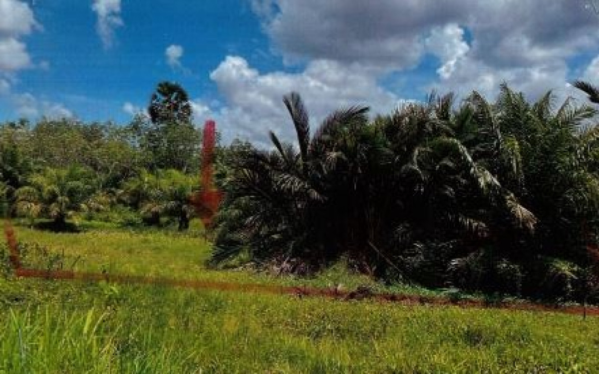 Residential land/lot Nakhon Si Thammarat Cha-uat Ban Tun 41400