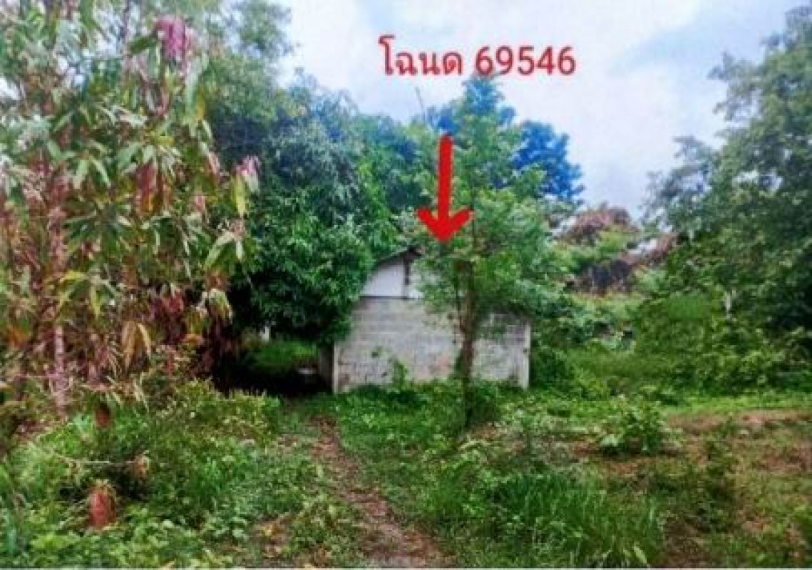 บ้านเดี่ยว ร้อยเอ็ด เสลภูมิ นาเลิง 106300