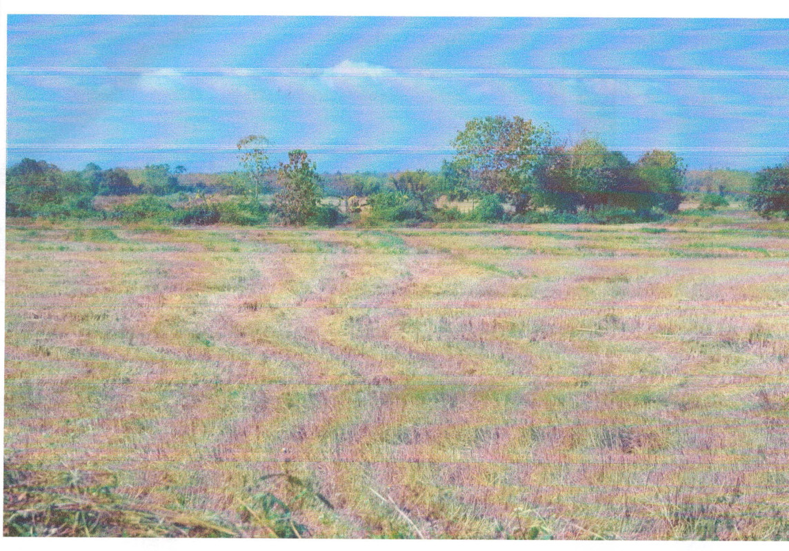 Residential land/lot Lampang Thoen Thoen Buri 210080