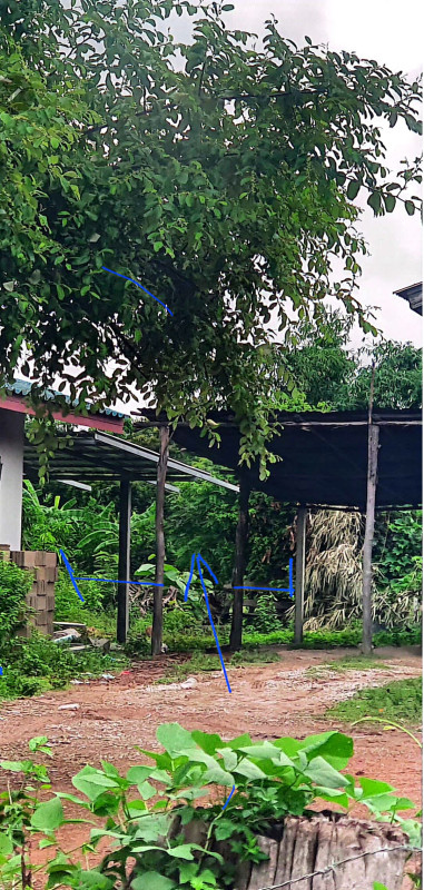 ที่ดินเปล่า กำแพงเพชร พรานกระต่าย ท่าไม้ 36900