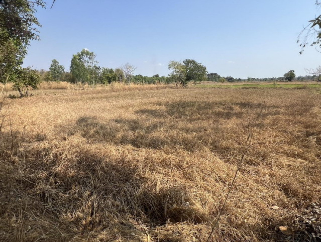 ที่ดินเปล่า ร้อยเอ็ด พนมไพร กุดน้ำใส 442750