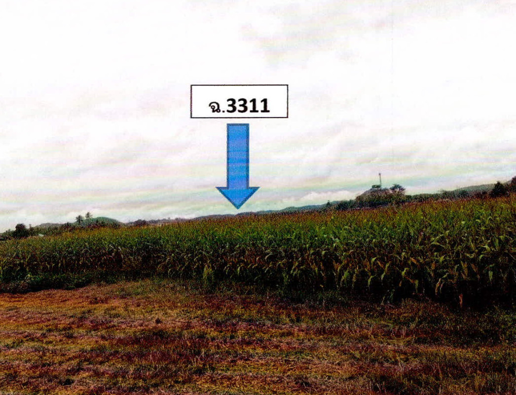 ที่ดินเปล่า น่าน แม่จริม แม่จริม 34500