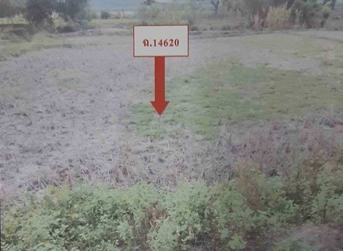 ที่ดินเปล่า ลำพูน แม่ทา ทาปลาดุก 224800