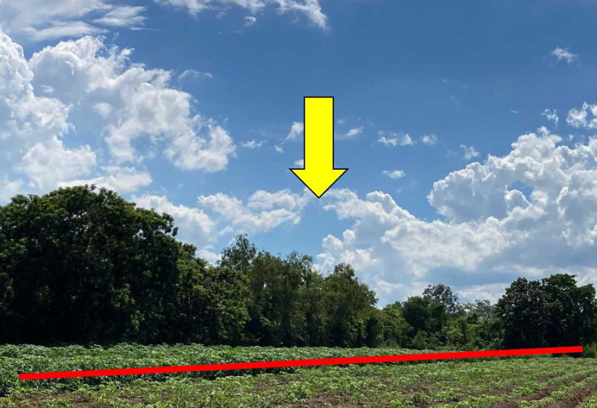 Residential land/lot Nong Bua Lam Phu Mueang Nong Bua Lam Phu Nong Wa 90000