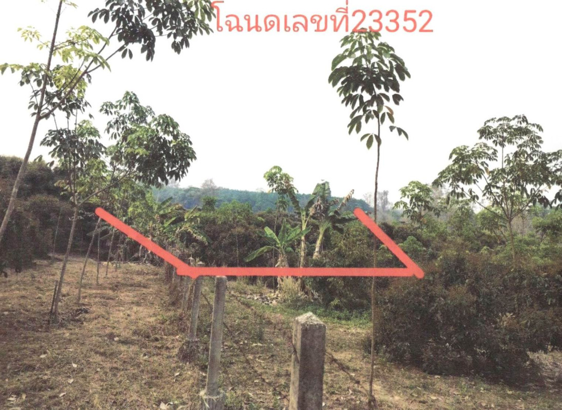 ที่ดินเปล่า น่าน เชียงกลาง พญาแก้ว 41550