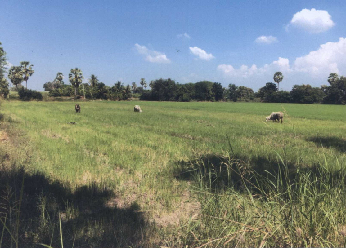 ที่ดินเปล่า อ่างทอง โพธิ์ทอง อินทประมูล 2000000