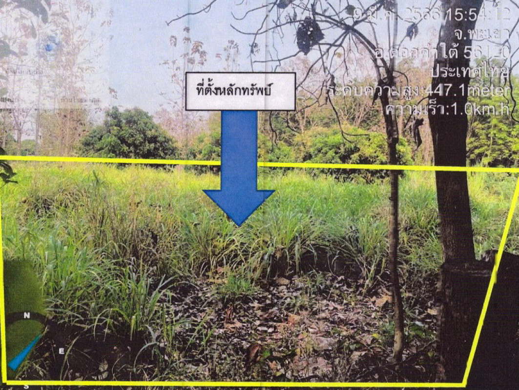 ที่ดินเปล่า พะเยา ดอกคำใต้ หนองหล่ม 132000
