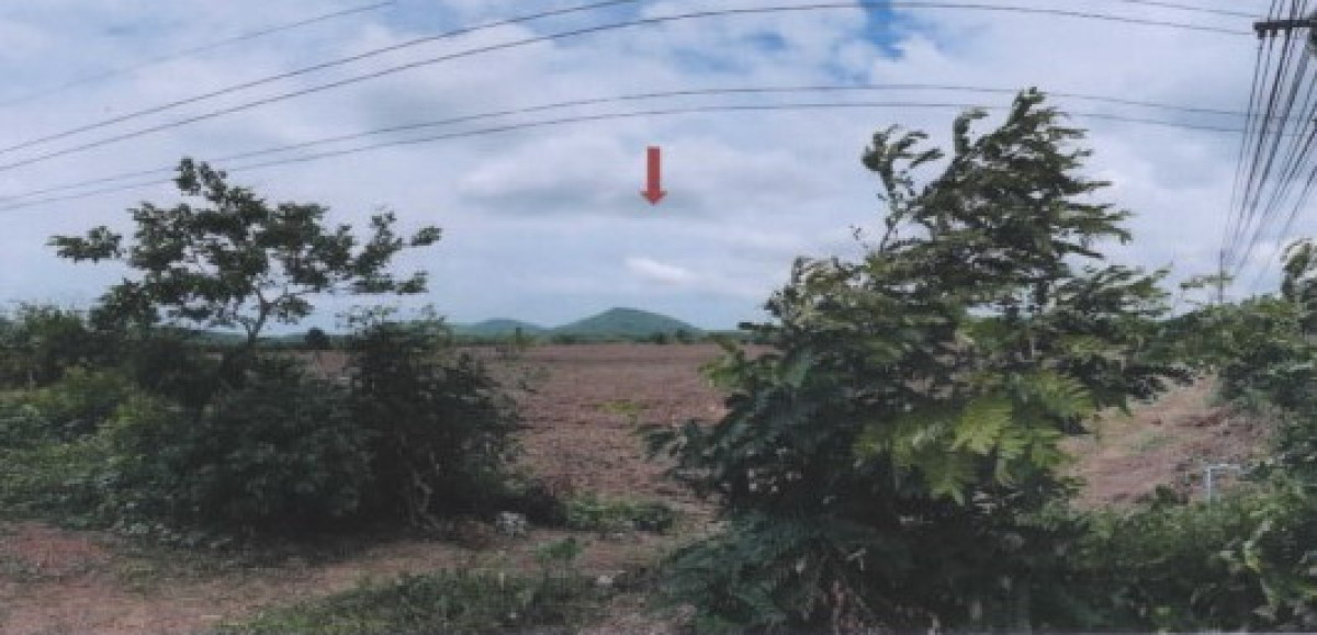 Residential land/lot Phetchabun Chon Daen Dong Khu 7302200