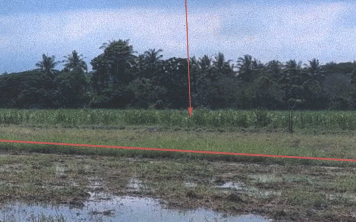 Residential land/lot Nakhon Ratchasima Sung Noen Kut Chik 1034200
