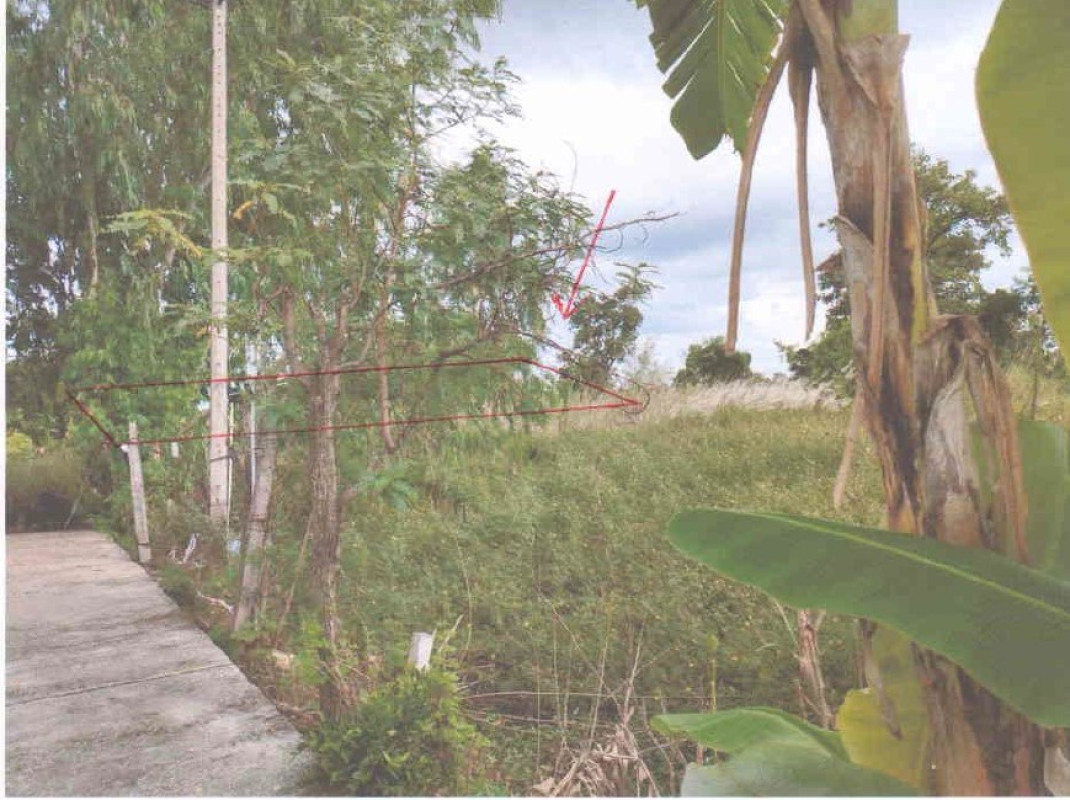 ที่ดินเปล่า พิจิตร ตะพานหิน งิ้วราย 68850