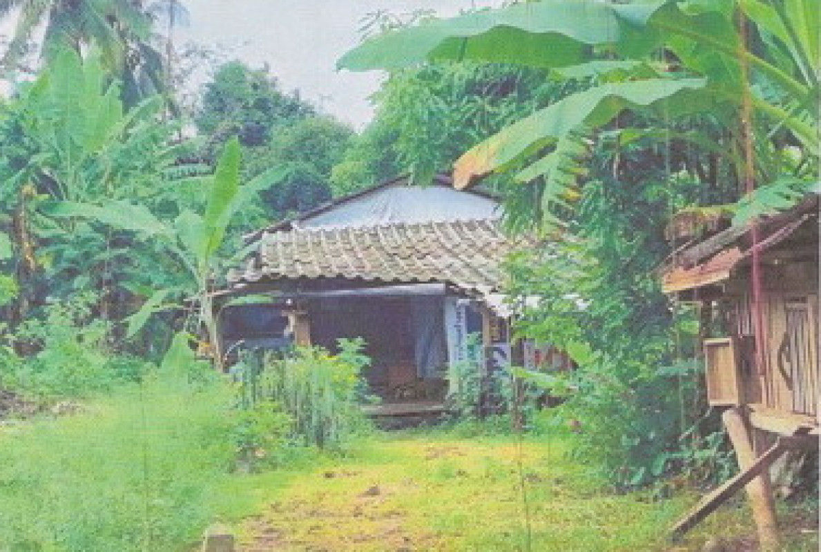 ทาวน์เฮ้าส์ ตรัง ปะเหลียน บ้านนา 109540