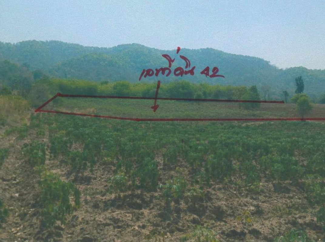 Residential land/lot Uthai Thani Ban Rai Ban Rai 1328500