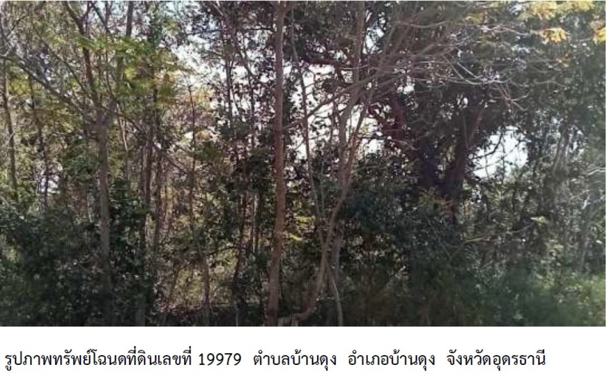 Residential land/lot Udon Thani Ban Dung Ban Dung 148000