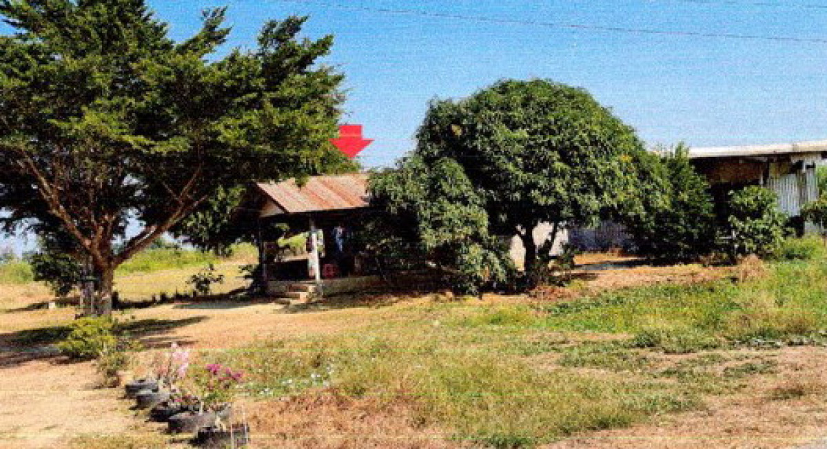 บ้านเดี่ยว กำแพงเพชร ลานกระบือ ลานกระบือ 570000