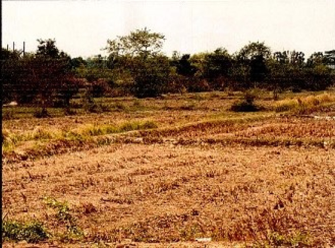 Residential land/lot Sakon Nakhon Phang Khon Muang Khai 356200
