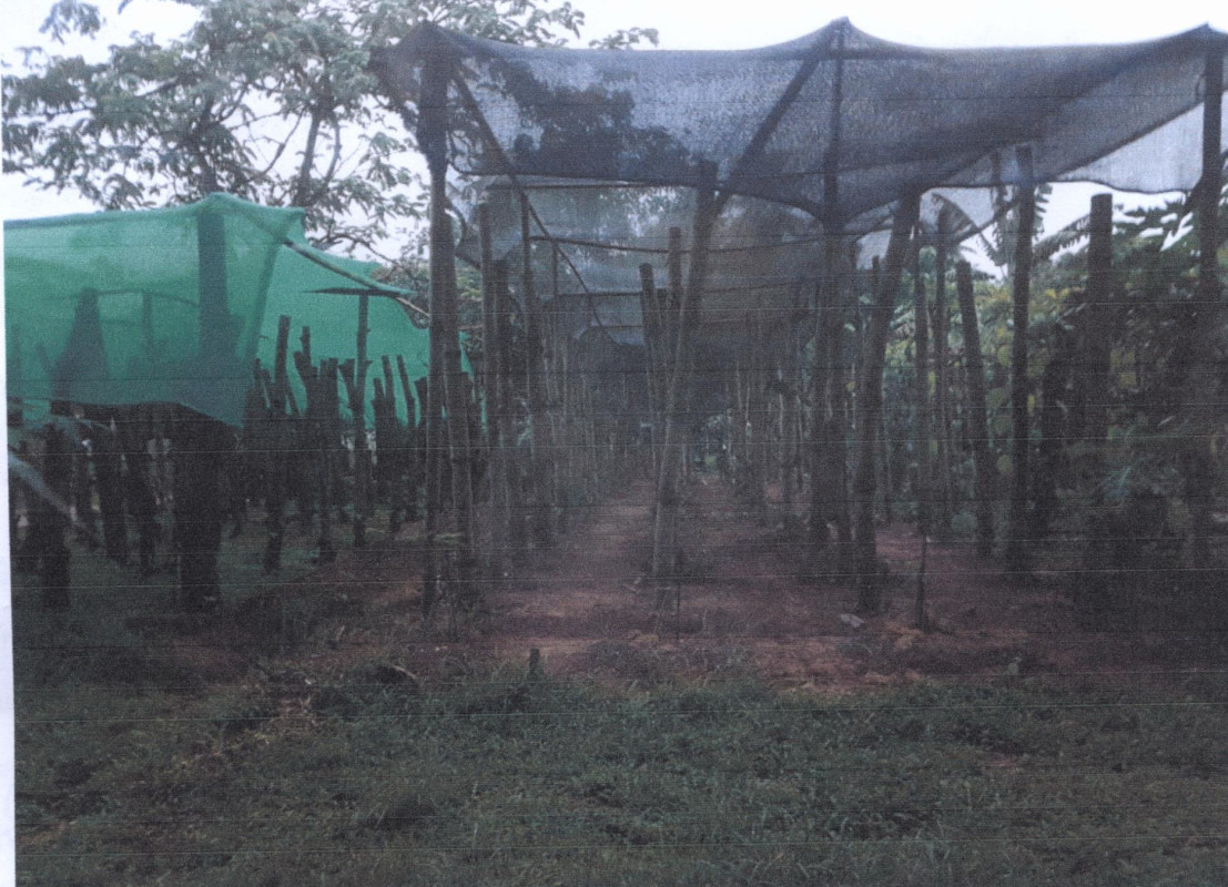 Residential land/lot Phatthalung Mueang Phatthalung Khok Cha Ngai 68024