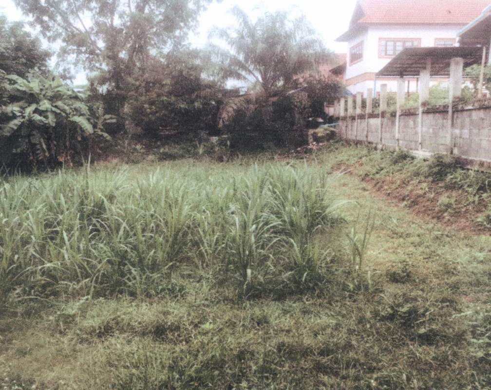 ที่ดินเปล่า สกลนคร สว่างแดนดิน บ้านต้าย 27500