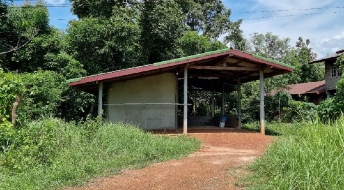 บ้านเดี่ยว สกลนคร บ้านม่วง โนนสะอาด 195560