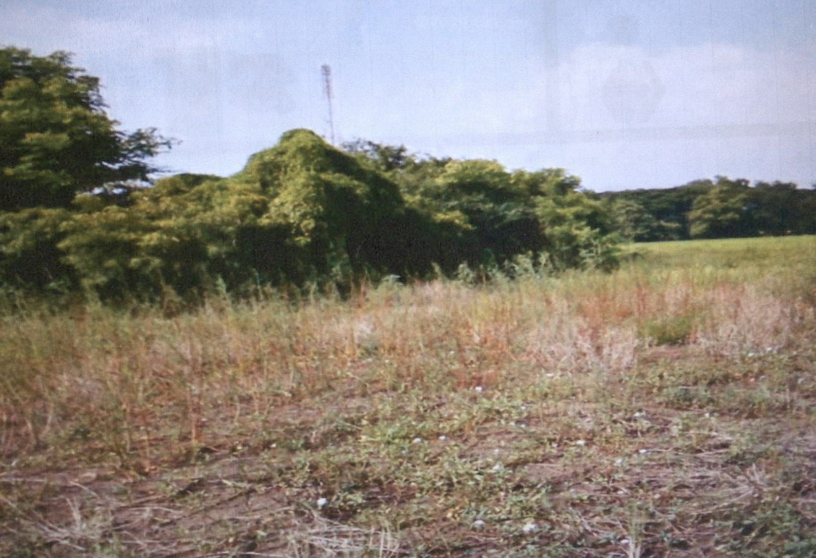 Residential land/lot Phetchabun Wichian Buri Tha Rong 83000