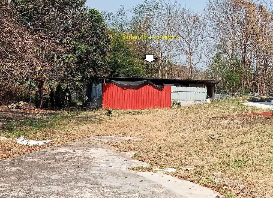 Residential land/lot Nakhon Ratchasima Sung Noen Makluea Kao 11399100