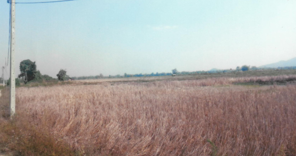 Residential land/lot Chiang Rai Thoeng Mae Loi 130500