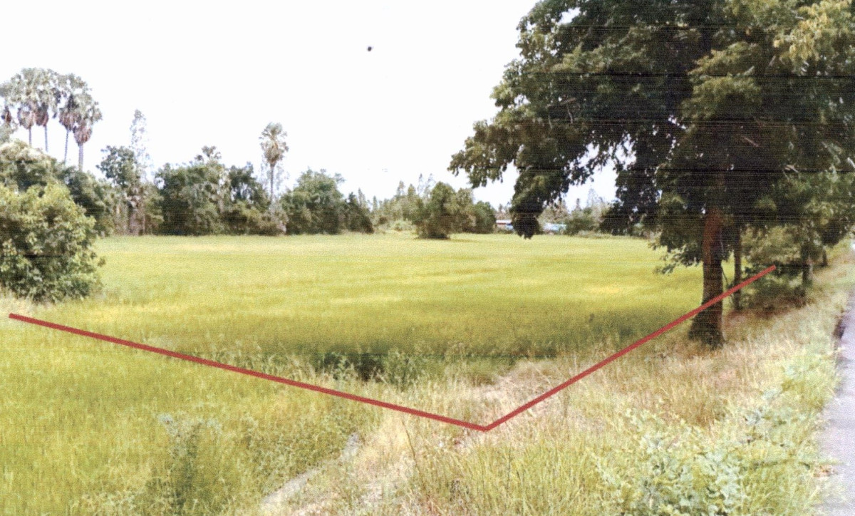 Residential land/lot Chai Nat Hankha Nong Saeng 420750
