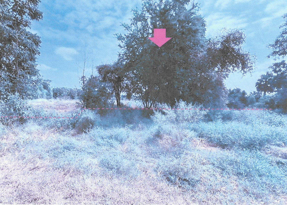 Residential land/lot Chai Nat Hankha Phrai Nok Yung 211640