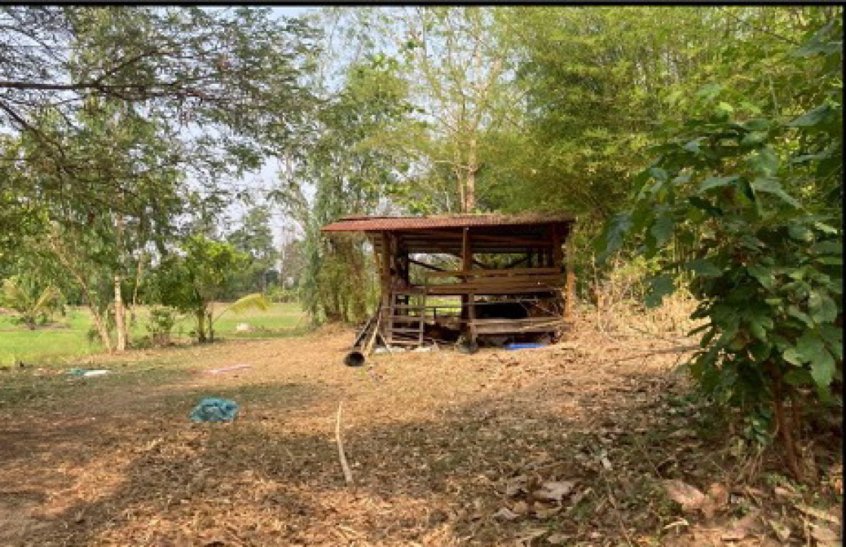 บ้านเดี่ยว สกลนคร เต่างอย จันทร์เพ็ญ 137563