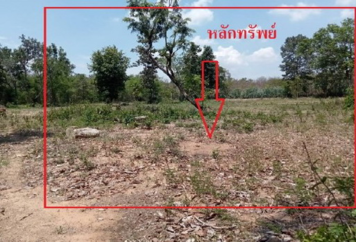 Residential land/lot Roi Et Kaset Wisai Ban Fang 460200
