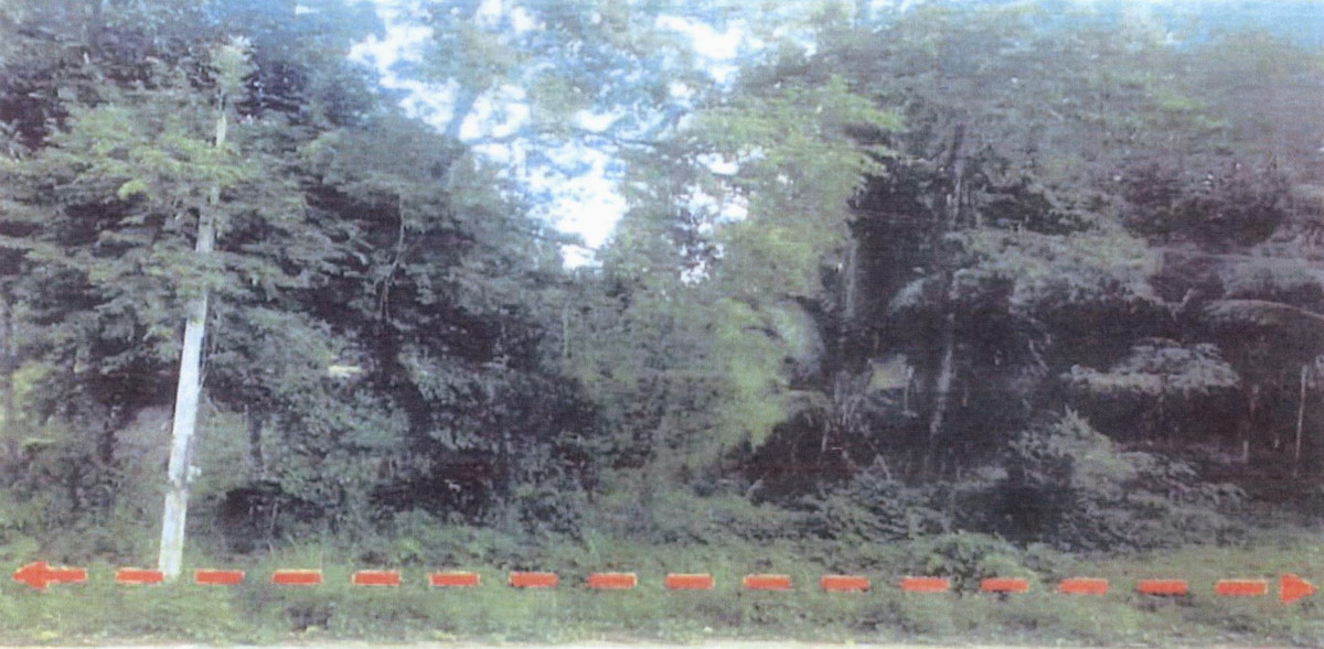 Residential land/lot Chumphon Lang Suan Bang Nam Chuet 1049750